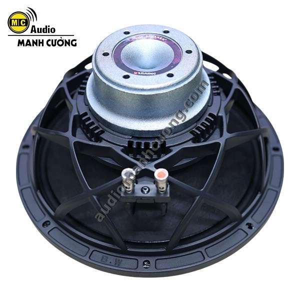 Bass 30 từ Neo B.W.Audio MB12/Nhe76 & Treble B.W.Audio T46 – Giải pháp nâng cấp loa chuyên nghiệp